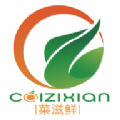 菜滋鲜官方版