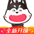 白菜锦鲤软件