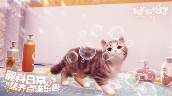 我和我的猫测试服截图3