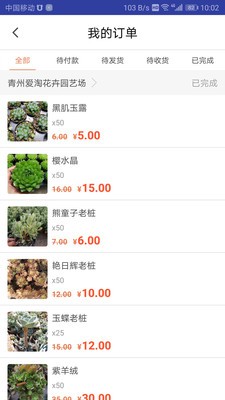 花多采供应商图4