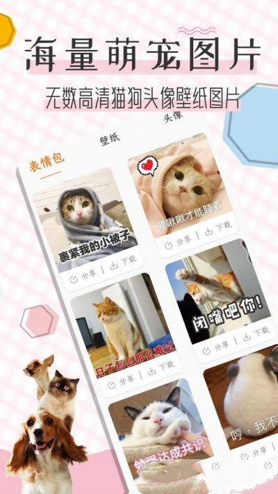 猫语翻译宝截图1