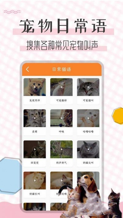 猫语翻译宝截图3