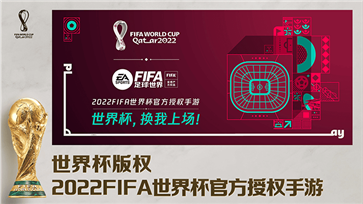 fifa足球世界体验服图4