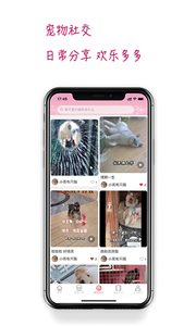 培森家园app