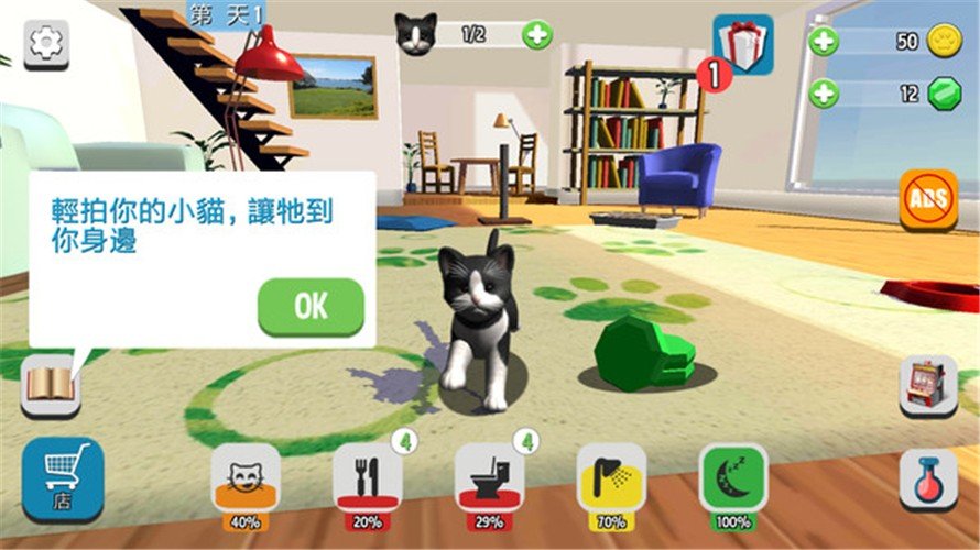 我的收养猫咪图1