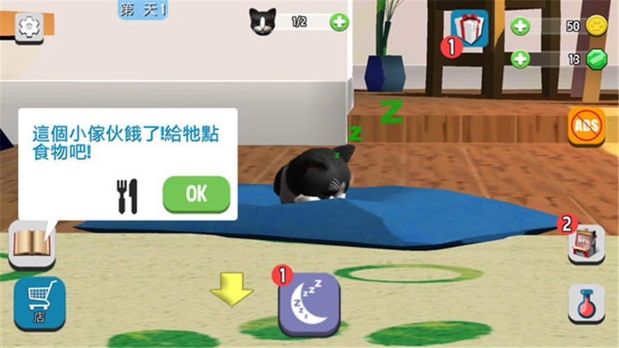 我的收养猫咪图3