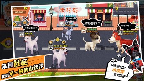 宠物天团图3