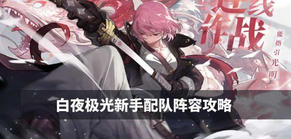 白夜极光新手怎么配队