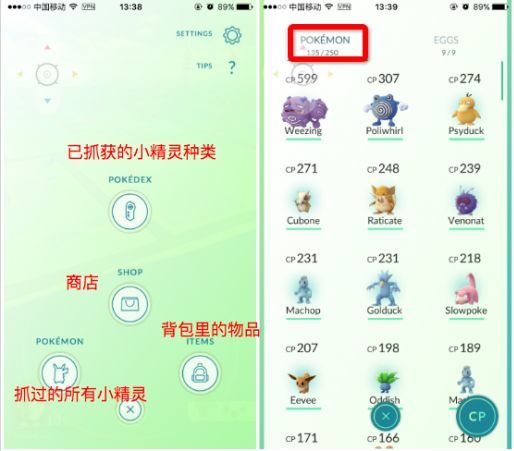 pokemon官方版图3