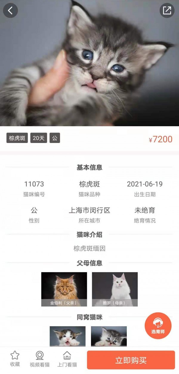 家连猫舍app截图3