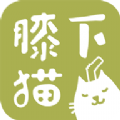 膝下猫app官网版