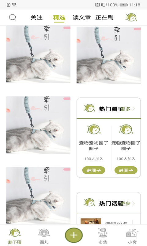 膝下猫app官网版