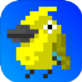 小鸟与黑暗森林(Bird)
