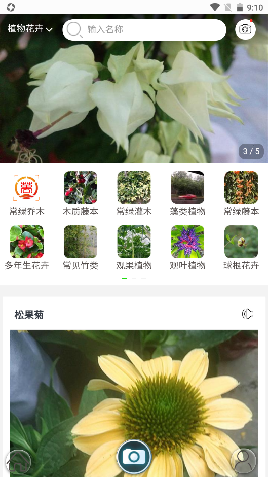 行色识花app最新版图3