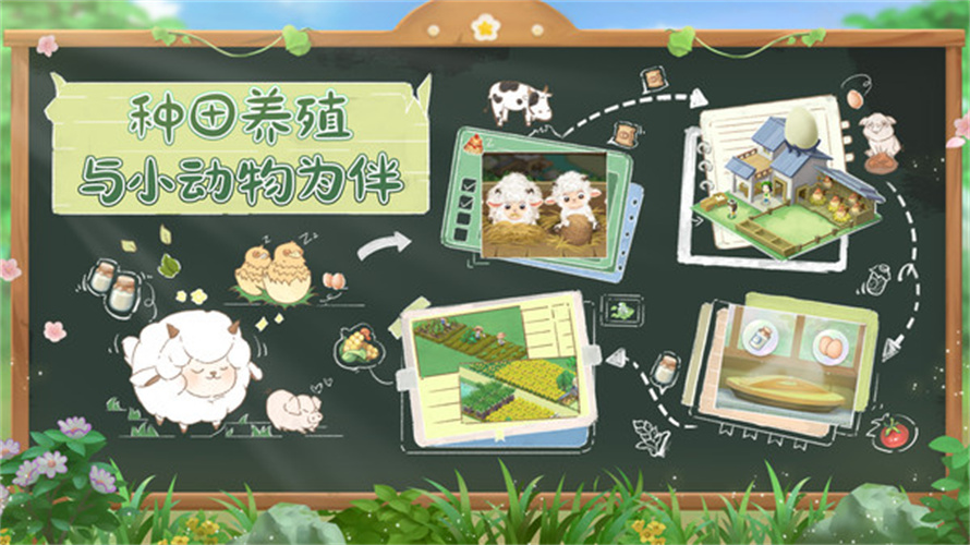 向往的生活手机最新版图5