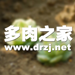 多肉之家手機(jī)版