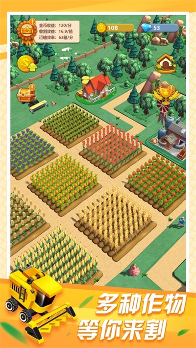 老王的青草地图5
