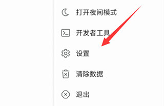 Kiwi浏览器APP