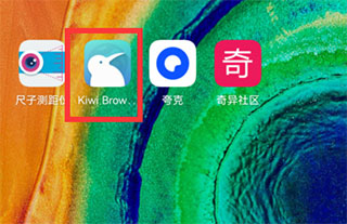 Kiwi浏览器APP