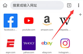 Kiwi浏览器APP