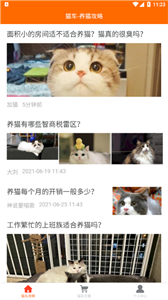 猫车最新版图3