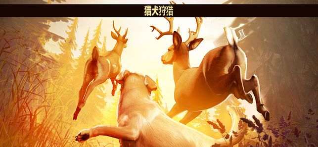 猎鹿人中文版破解版图2