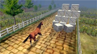 训练马匹模拟器(HorseGames)图3