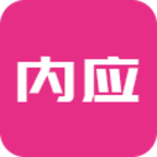 内应图标