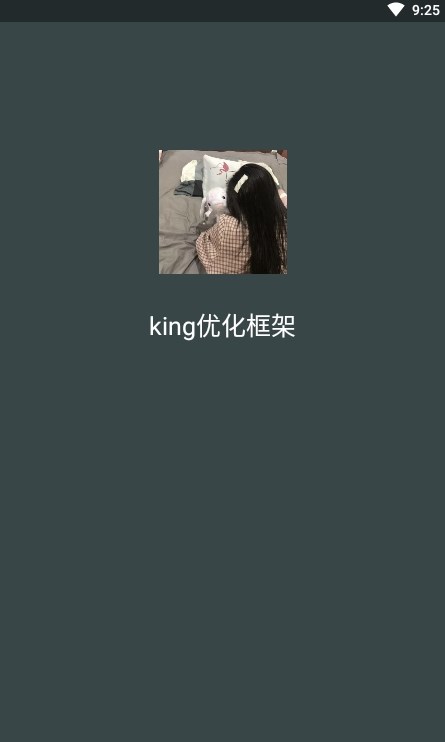 king优化框架截图2