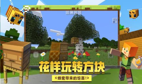 我的世界现实版免费图3