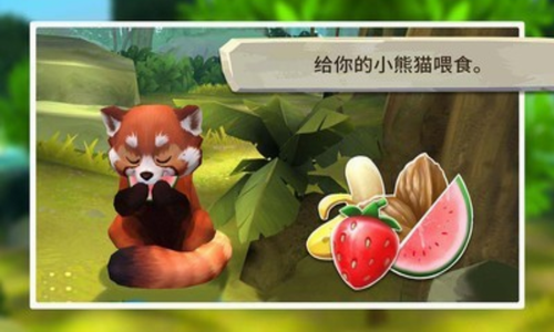 我的小熊猫（RedPanda）图3