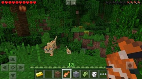 minecraft1.19国际版23最新官网版手机版图2