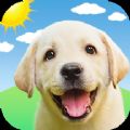狗语狗狗翻译器app安卓版