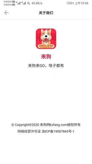 来狗app官方版手机版图1