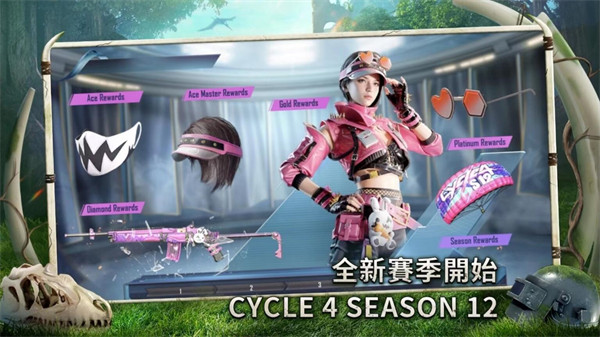 PUBGMOBILE手机版图1