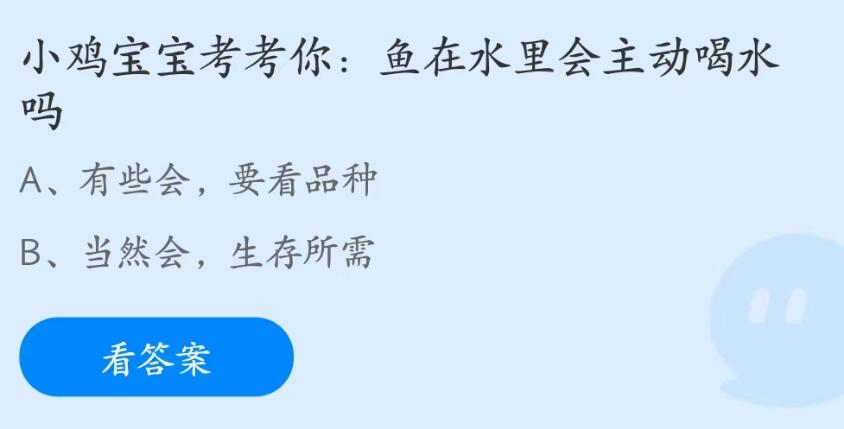 小鸡宝宝考考你鱼在水里会主动喝水吗