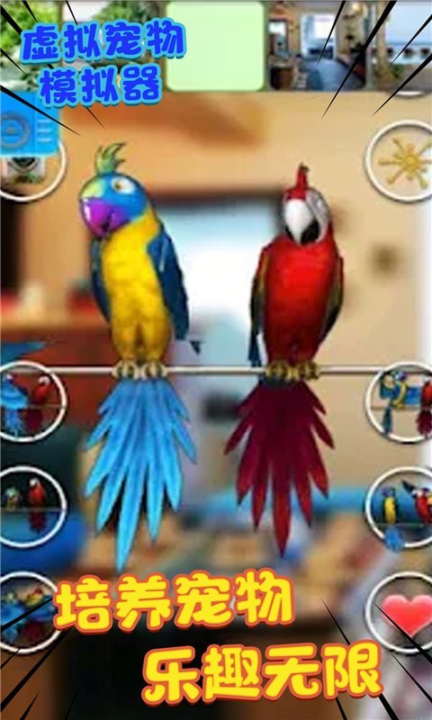 虚拟宠物模拟器最新版图2