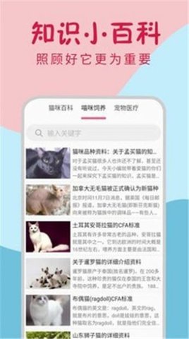 小猫翻译器app官网版