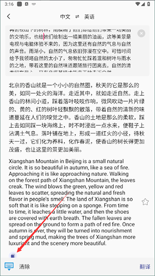小语种翻译