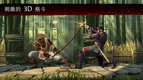 暗影格斗22024最新中文版（Shadow Fight 2）