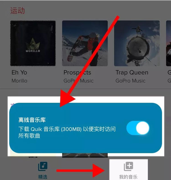 Gopro quik软件