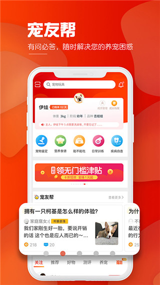 犬易图3