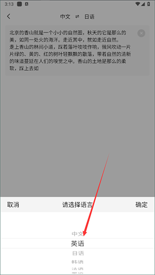 小语种翻译