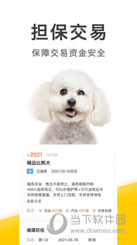 买只宠物正版图1