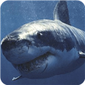 深海大白鲨游戏