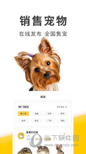 买只宠物正版图3