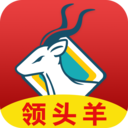 领头羊货主端