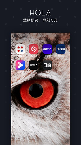 Hola壁纸软件图1