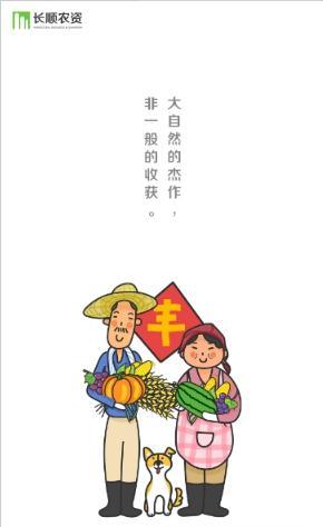 长顺农资图2