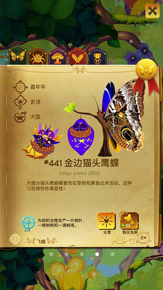 彩翼蝴蝶保护区图3